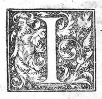 An illustration from Labyrinthi medici extricati, sive methodus vitandorum errorum qui in praxi occurrunt... Additus est ejusdem Septalii Tractatus De naevis (1687)