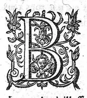 An illustration from Le cours de medecine en francois, contenant le miroir de beauté et santé corporelle... Tome second (1664)