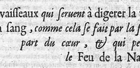 An illustration from Théorie de la médecine en francois, d'une maniere nouvelle et tres-intelligible (1664)