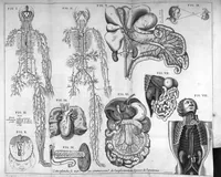 An illustration from Théorie de la médecine en francois, d'une maniere nouvelle et tres-intelligible (1664)