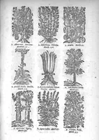 An illustration from Théorie de la médecine en francois, d'une maniere nouvelle et tres-intelligible (1664)
