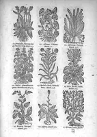 An illustration from Théorie de la médecine en francois, d'une maniere nouvelle et tres-intelligible (1664)