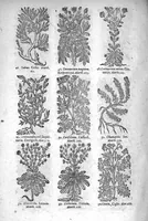 An illustration from Théorie de la médecine en francois, d'une maniere nouvelle et tres-intelligible (1664)