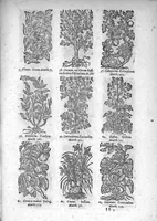 An illustration from Théorie de la médecine en francois, d'une maniere nouvelle et tres-intelligible (1664)