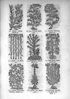 An illustration from Théorie de la médecine en francois, d'une maniere nouvelle et tres-intelligible (1664)