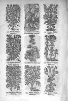 An illustration from Théorie de la médecine en francois, d'une maniere nouvelle et tres-intelligible (1664)