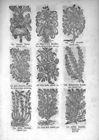 An illustration from Théorie de la médecine en francois, d'une maniere nouvelle et tres-intelligible (1664)
