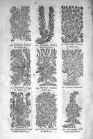 An illustration from Théorie de la médecine en francois, d'une maniere nouvelle et tres-intelligible (1664)
