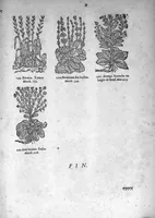 Picture 20 of 20 from Théorie de la médecine en francois, d'une maniere nouvelle et tres-intelligible (1664), leaf 94
