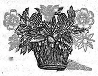 An illustration from Consiliorum medicinalium liber III. et postremus (1649)