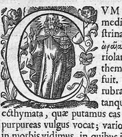 An illustration from Epidemiorum et ephemeridum libri duo (1640)