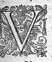 An illustration from Definitionum medicarum liber (1640)