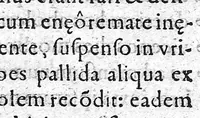 An illustration from De febre purpura... (1578)