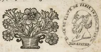 An illustration from Reflections sur l'etat present des maladies, qui regnent dans la ville de Lyon... (1694)