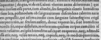 An illustration from Oddi de Oddis Patavini phisici ac medici celeberrimi ... Expositio, in librum artis medicinalis Galeni (1574)