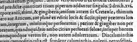 An illustration from Oddi de Oddis Patavini phisici ac medici celeberrimi ... Expositio, in librum artis medicinalis Galeni (1574)