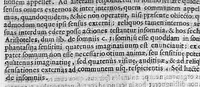 An illustration from Quadripartitum melancholicum : quo variae quaestiones de melancholiae morbo, essentia, differentiis, causis, prognosi, curatione habentur, et plura de morbo hypocondriaco ... (1645)