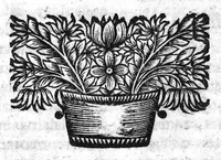 An illustration from Les œuvres de Jean-Baptiste Van Helmont, traittant des principes de médecine et physique pour la guérison assurée des maladies : de la traduction de M. Jean Le Conte, Docteur médecin. (1671)