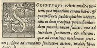 An illustration from Omniboni Ferrarii, medici ac philosophi De Arte medica infantium libri quatuor. Quorum duo priores De tuenda eorum sanitate, posteriores de curandis morbis agunt ... (1577)