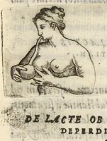 An illustration from Omniboni Ferrarii, medici ac philosophi De Arte medica infantium libri quatuor. Quorum duo priores De tuenda eorum sanitate, posteriores de curandis morbis agunt ... (1577)