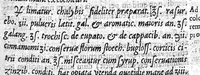 An illustration from De virginum et mulierum morbis liber (1643)
