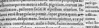 An illustration from De virginum et mulierum morbis liber (1643)