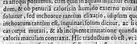 An illustration from De virginum et mulierum morbis liber (1643)