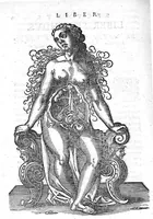 An illustration from De conceptu et generatione hominis (1580)