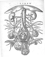An illustration from De conceptu et generatione hominis (1580)