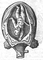 An illustration from De conceptu et generatione hominis (1580)