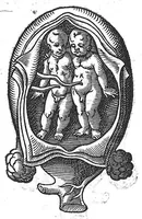An illustration from De conceptu et generatione hominis (1580)
