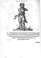 Picture 14 of 20 from De conceptu et generatione hominis (1580), leaf 88
