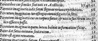 An illustration from De perfecta constitutione hominis in utero (1616)