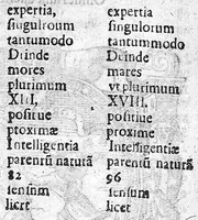 An illustration from De perfecta constitutione hominis in utero (1616)