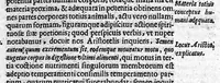 An illustration from De perfecta constitutione hominis in utero (1616)