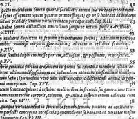 An illustration from De perfecta constitutione hominis in utero (1616)