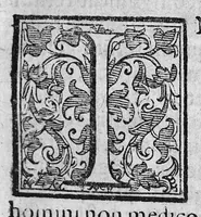 An illustration from Praelectiones Marciae, sive Commentaria in Thucydidis historiam, seu narrationem de Peste Atheniensium. (1603)