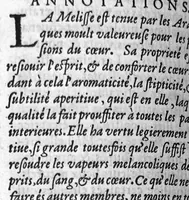 An illustration from Les six livres de Pedacion Dioscoride d’Anazarbe, de la matiere medicale, translatez de Latin en François. A chacun Chapitre sont adjoustees certaines annotations fort doctes, et recueillies des plus excellens Medecins, anciens et modernes, Avec Privilege pour cinq ans, (1559)