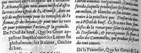 An illustration from Les six livres de Pedacion Dioscoride d’Anazarbe, de la matiere medicale, translatez de Latin en François. A chacun Chapitre sont adjoustees certaines annotations fort doctes, et recueillies des plus excellens Medecins, anciens et modernes, Avec Privilege pour cinq ans, (1559)