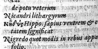 An illustration from Hieronymi Mercurialis Variarum Lectionum, in medicinae Scriptoribus et aliis, Libri sex (1598)