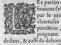 An illustration from Discours d'Ambroise Paré, conseiller premier chirurgien du roy, à scavoir , de la mumie, des venins, de la licorne et de la peste. Avec une table des plus notables matieres contenues esdits Discours (1582)