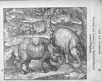 An illustration from Discours d'Ambroise Paré, conseiller premier chirurgien du roy, à scavoir , de la mumie, des venins, de la licorne et de la peste. Avec une table des plus notables matieres contenues esdits Discours (1582)