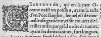 An illustration from Discours d'Ambroise Paré, conseiller premier chirurgien du roy, à scavoir , de la mumie, des venins, de la licorne et de la peste. Avec une table des plus notables matieres contenues esdits Discours (1582)