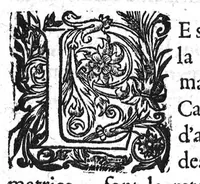 An illustration from Les IXV livres des paragraphes de Ph. Theoph. Paracelse Bombast,...où sont contenus en epitome ses secrets admirables...; traduicts du latin en françois,...par C. de Sarcilly... (1631)