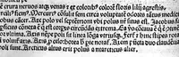 An illustration from Janua logicae et physice