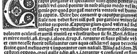 An illustration from Regimen sanitatis (1506)