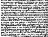 An illustration from Regimen sanitatis (1506)