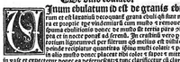 Picture 17 of 21 from Regimen sanitatis (1506), leaf 221