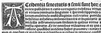 An illustration from Regimen sanitatis (1506)