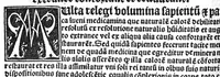 An illustration from Regimen sanitatis (1506)